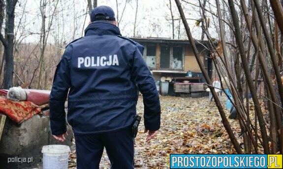 Policjanci z I Komisariatu w Opolu zatrzymali 44-latka za szereg włamań do altanek.