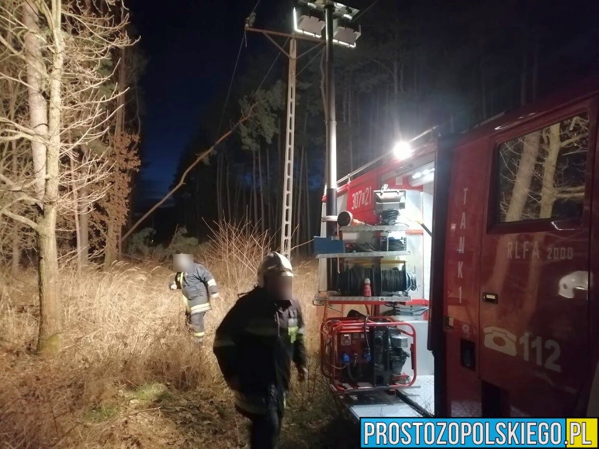 Drzewo spadło na linie niskiego napięcia w miejscowości Siedliska.(Zdjęcia)