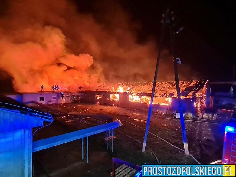 Pożar pod Korfantowem w miejscowości Włostowa.(Zdjęcia)