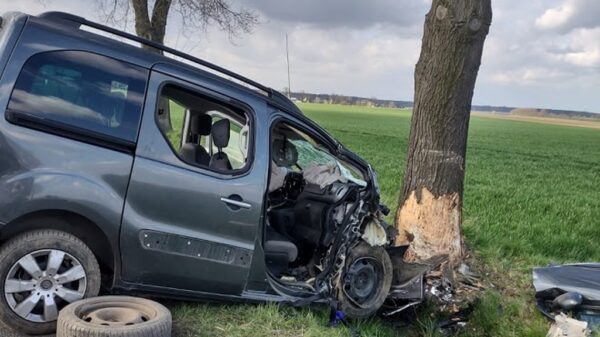 26-letni kierowca jadący citroenem z 2 pasażerami uderzył w drzewo. Na miejscu lądował LPR.(Zdjęcia)