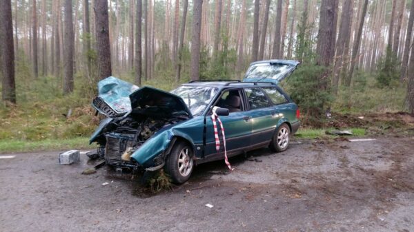 Audi uderzyło w drzewo w Polskiej Nowej Wsi pod Opolem. Policjanci ustalają kto kierował.