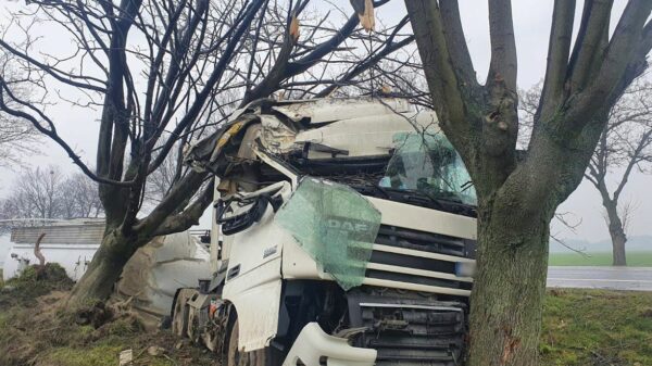 Wypadek na DK 94 pod Strzelcami Opolskimi. Ciężarówka z naczepą przewożąca cement uderzyła w drzewo.