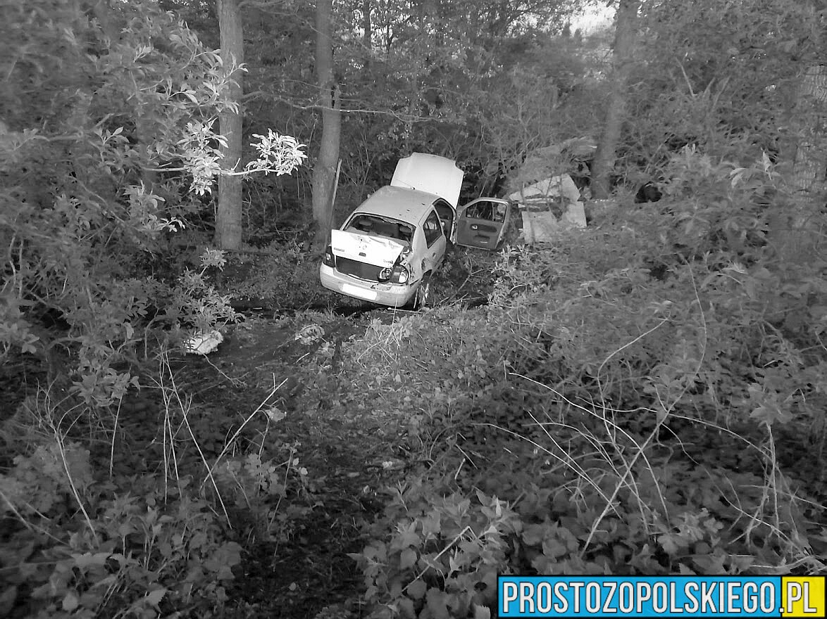 Wypadek samochodowy w Brzegu. Nie żyje 20-letnia kobieta.