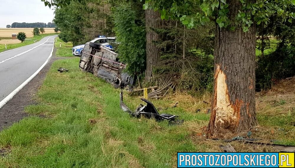22-latek jadący passatem zasnął za kierownicą , zjechał z drogi i uderzył w drzewo.(Zdjęcia)