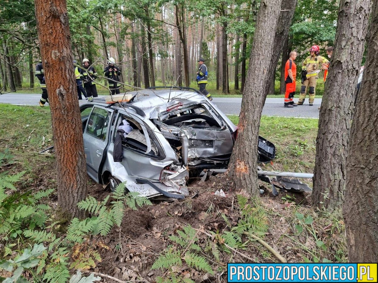 Wypadek na DK 45 w miejscowości Bierdzany. Kierowca zabrany do szpitala.(Zdjęcia)