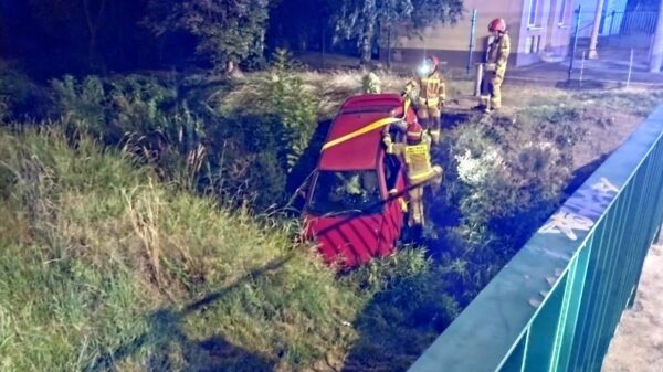 Wjechał do potoku i uciekł z miejsca zdarzenia.(wideo)