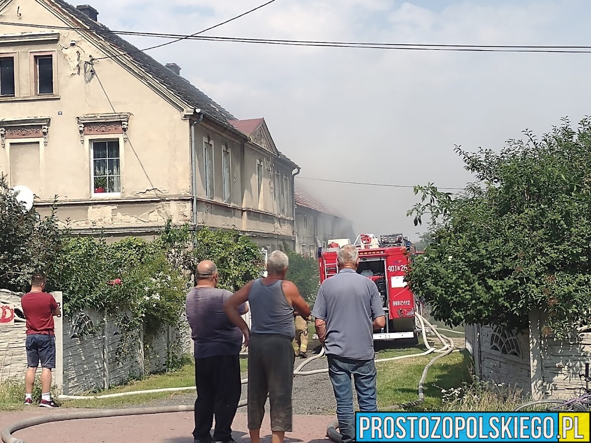 Pożar zabudowań w miejscowości Michałów w pow. brzeskim. Na miejscu jest 11 zastępów straży pożarnej.(Zdjęcia)