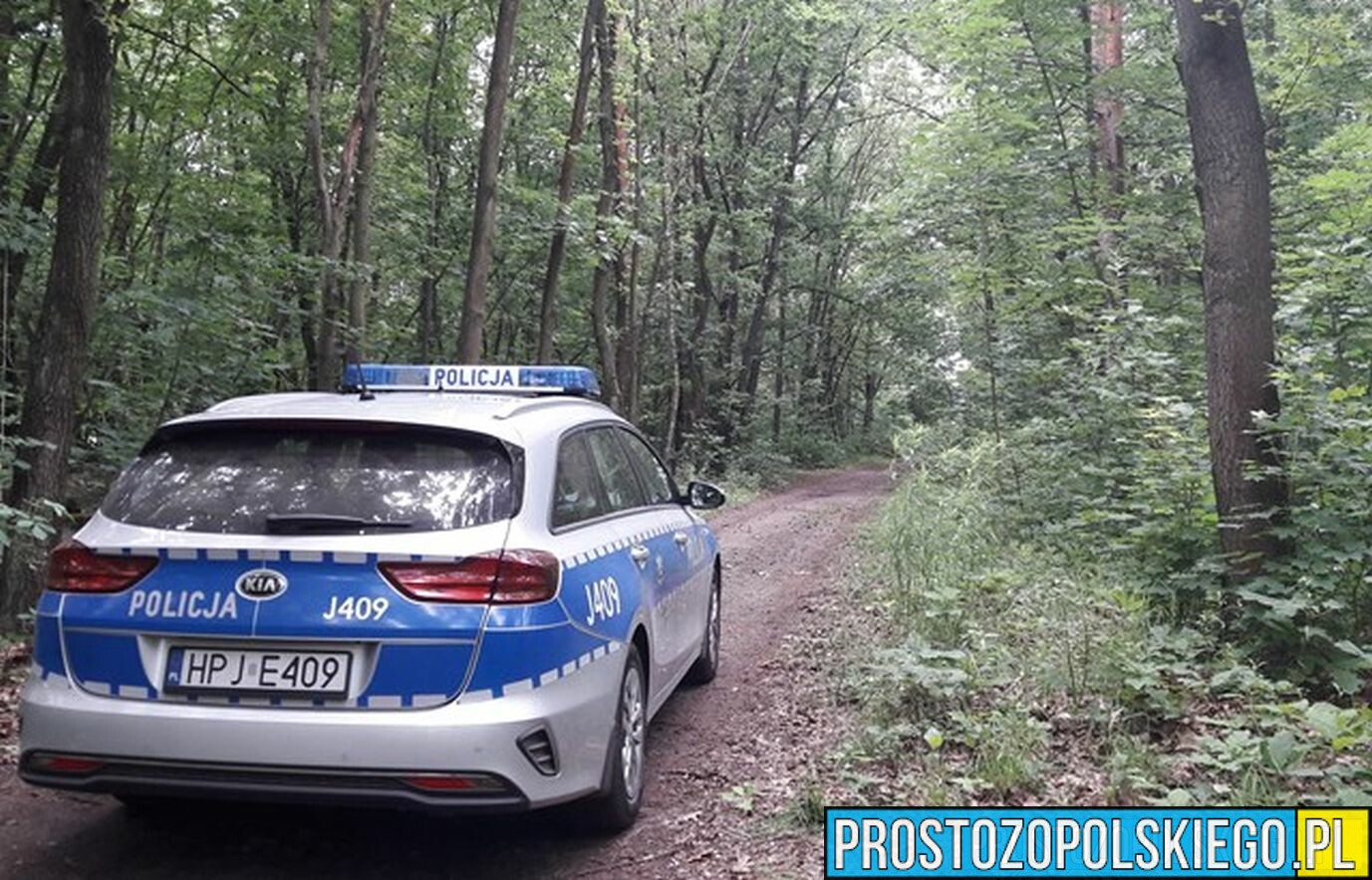 Policjanci odnaleźli mężczyznę, który zagubił się w lesie.