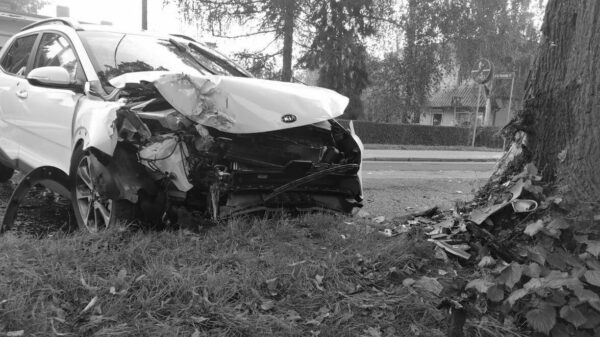 Kierująca autem wjechała w drzewo. Pasażerka zmarła w szpitalu.(Zdjęcia)