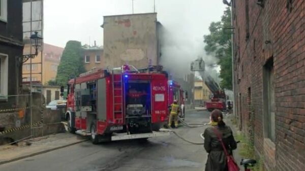 Pożar budynku w Brzegu. Ewakuowano 7 osób.(Zdjęcia)