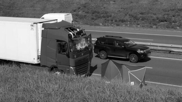Mężczyzna skoczył z wiaduktu na autostradzie A4 i wpadł do kabiny ciężarówki.(Zdjęcia)