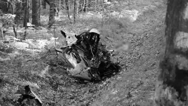 Wypadek śmiertelny w rejonie Ligoty Prószkowskiej koło Opola. Po uderzeniu w drzewo auto się rozpadło.(Zdjęcia&Wideo)