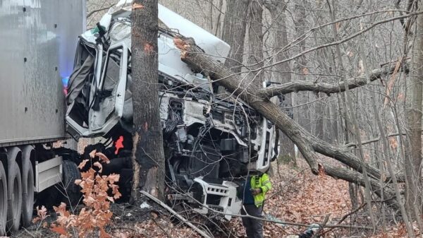 Oszukać przeznaczenie. Kierujący ciężarówka wjechał w drzewo, z kabiny niewiele zostało.(Zdjęcia&Wideo)