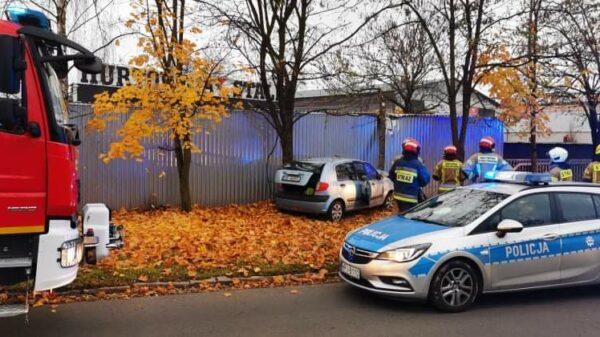 Kierujący autem zjechał z drogi i uderzył w drzewo w Brzegu.(Zdjęcia)