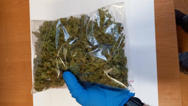 Kryminalni z Kluczborka przejęli pół kilograma narkotyków.(Zdjęcia)