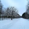 Z północy idzie do nas burza śnieżna!