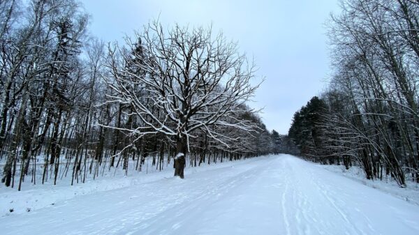 Z północy idzie do nas burza śnieżna!