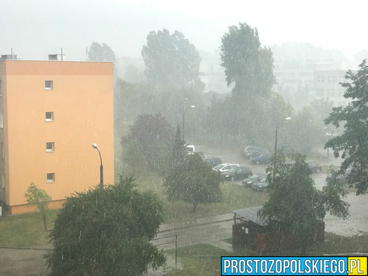 Ostrzeżenie meteorologiczne na terenie Opolszczyzny związane z silnymi podmuchami wiatru.