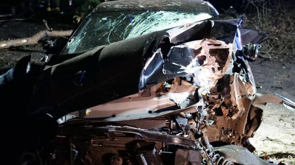 Kierujący sportowym jaguarem ściął dwa drzewa z auta niewiele zostało.(Zdjęcia)