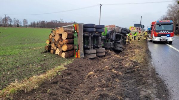 Ciężarówka przewożąca bale drewna wywróciła się do rowu na dk46 w miejscowości Dąbrowa.(Zdjęcia)