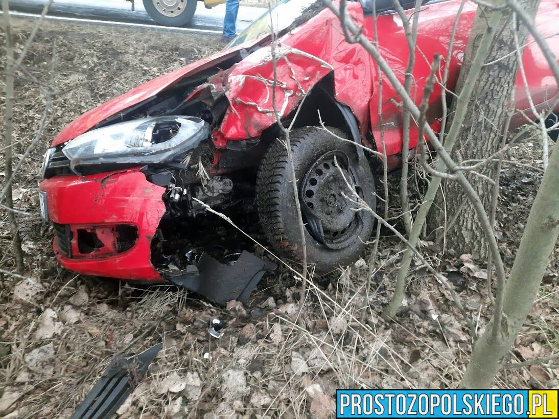 Kierująca autem zjechała z drogi i uderzyła w drzewo w miejscowości Rudniki.(Zdjęcia)