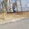 Pożar altanki w okolicy centrum przesiadkowego w Opolu.(Zdjęcia)