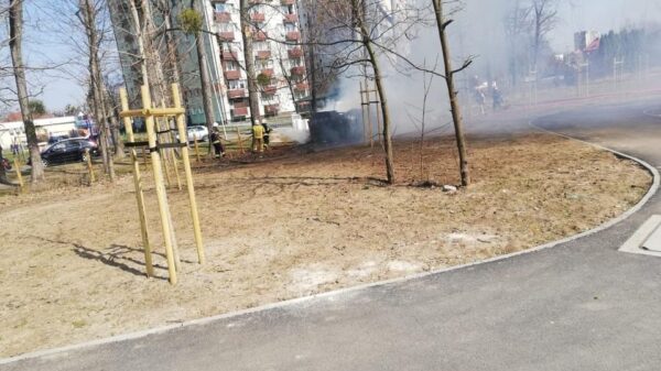 Pożar altanki w okolicy centrum przesiadkowego w Opolu.(Zdjęcia)