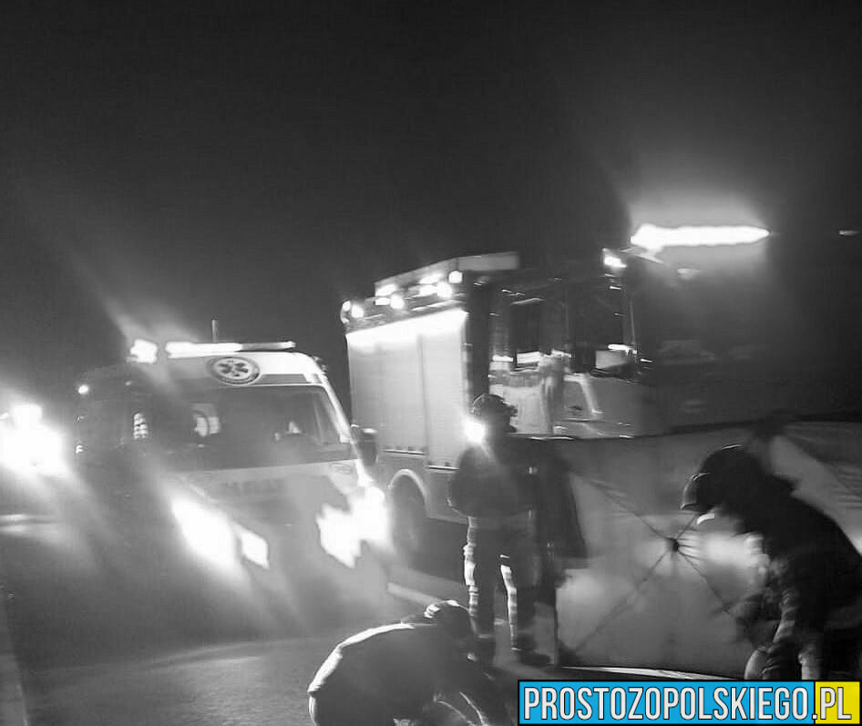 Policjanci z Brzegu wyjaśniają okoliczności śmiertelnego potrącenie obywatela Ukrainy na DK94.(Zdjęcia)