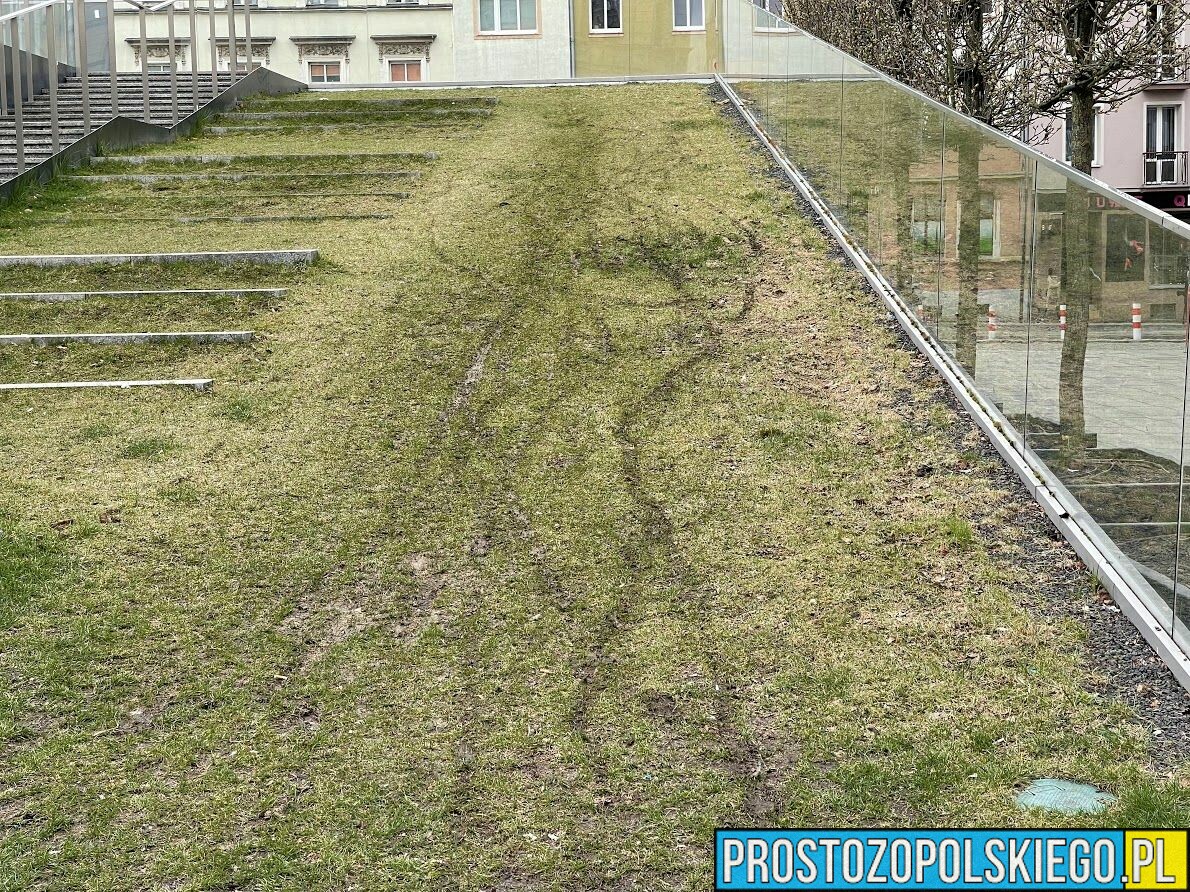 Zniszczony trawnik na Placu Kopernika w Opolu.(Zdjęcia)