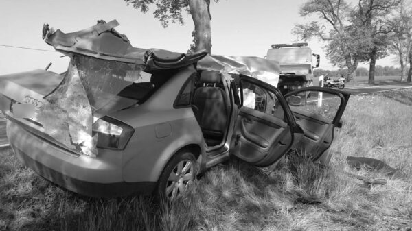 Wypadek śmiertelny w miejscowości Piorunkowice. Kierujący audi z niewyjaśnionych przyczyn uderzył w drzewo.(Zdjęcia)