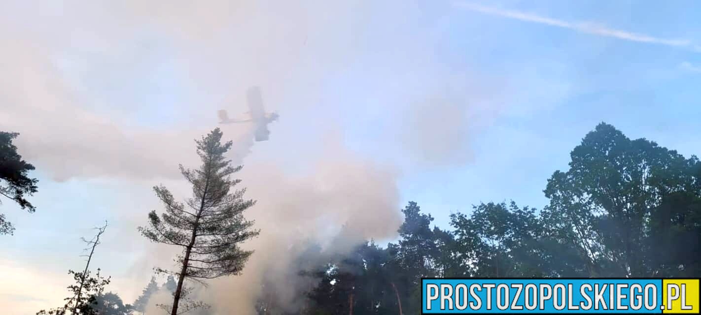 Pożar w miejscowości Kotlarnia. W akcji brał udział samolot Dromader.(Zdjęcia)