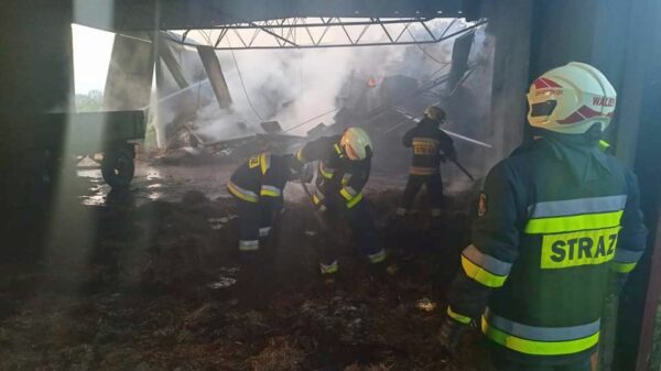 Pożar stodoły w Krapkowicach. W akcji brało udział 9 zastępów straży.(Zdjęcia)