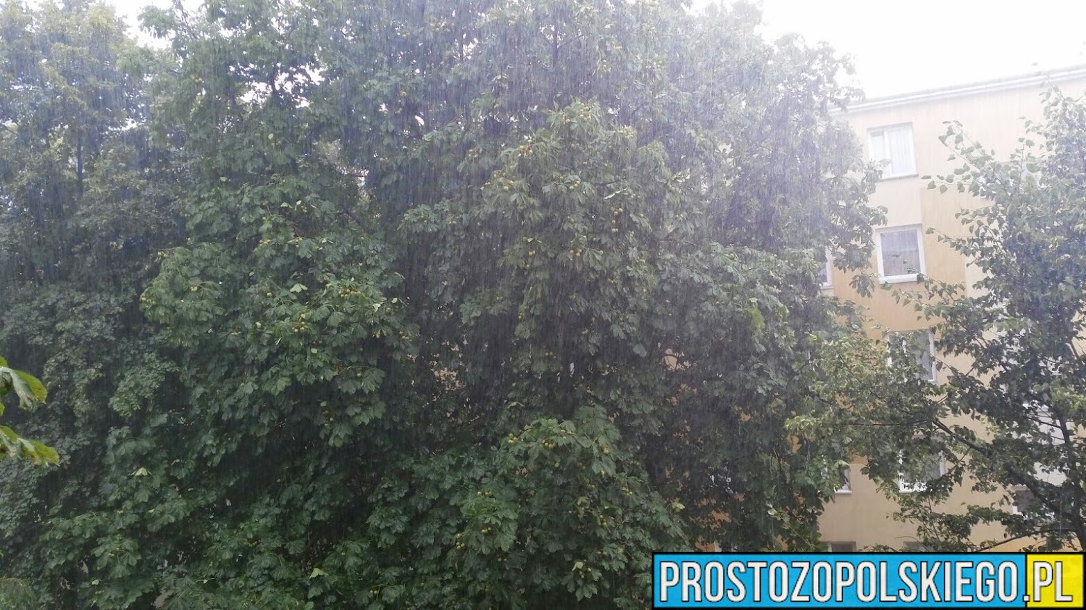 Ostrzeżenie o intensywnych opadach deszczu dla województwa Opolskiego.