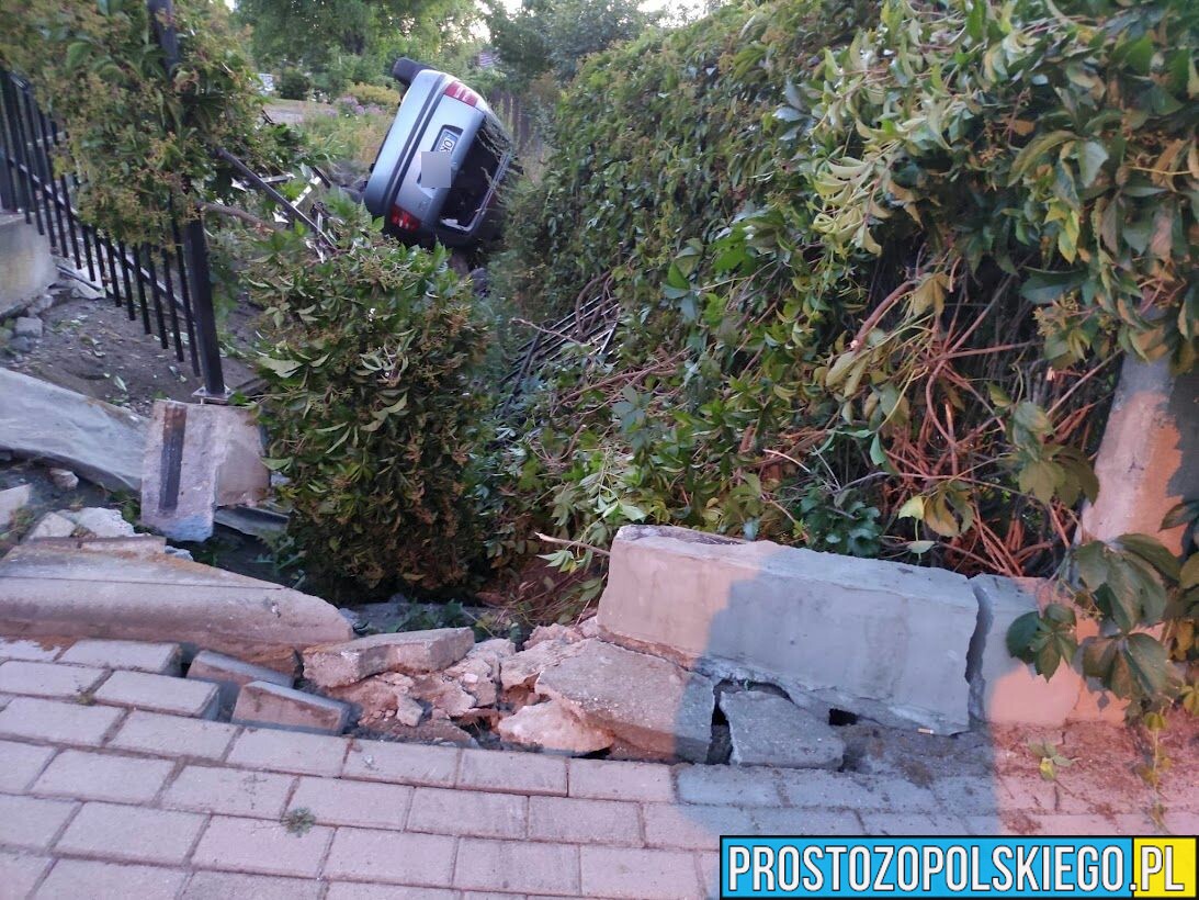 Pijani obywatele Ukrainy wjechali autem do ogródka i dachowali.(Zdjęcia)