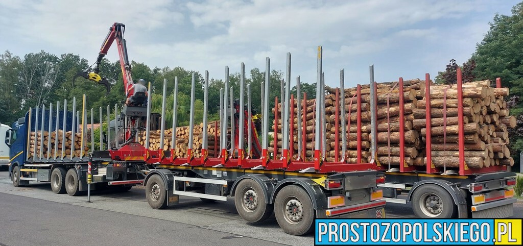 Inspektorzy z WITD zatrzymali w Osowcu koło Opola zespół pojazdów załadowany drewnem. Ładunek był nieprawidłowo umieszczony na pojeździe oraz ...