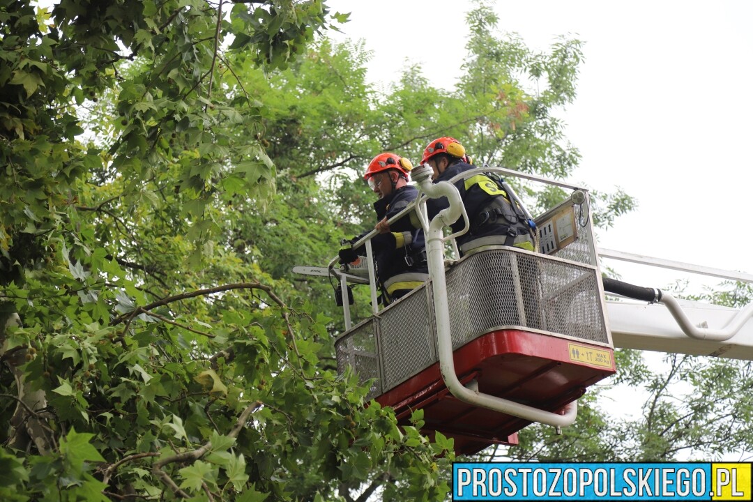 Ponad 200 interwencji strażaków na Opolszczyźnie. Połamane drzewa, zalane piwnice i uszkodzone auta.(Zdjęcia)