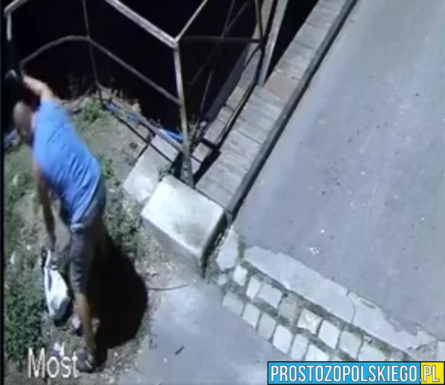 Policja ustala tożsamość sprawcy bestialskiego znęcania się nad kotem na teren Kępy Młyńskiej w Brzegu.(Zdjęcia z monitoringu)