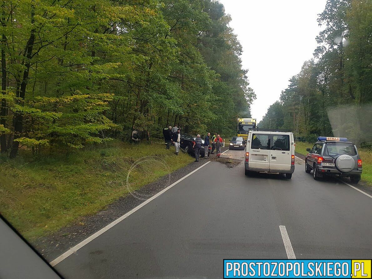 Kierujący autem zjechał z drogi do rowu i uderzył w drzewo na DW463 Kolonowskie - Zawadzkie.