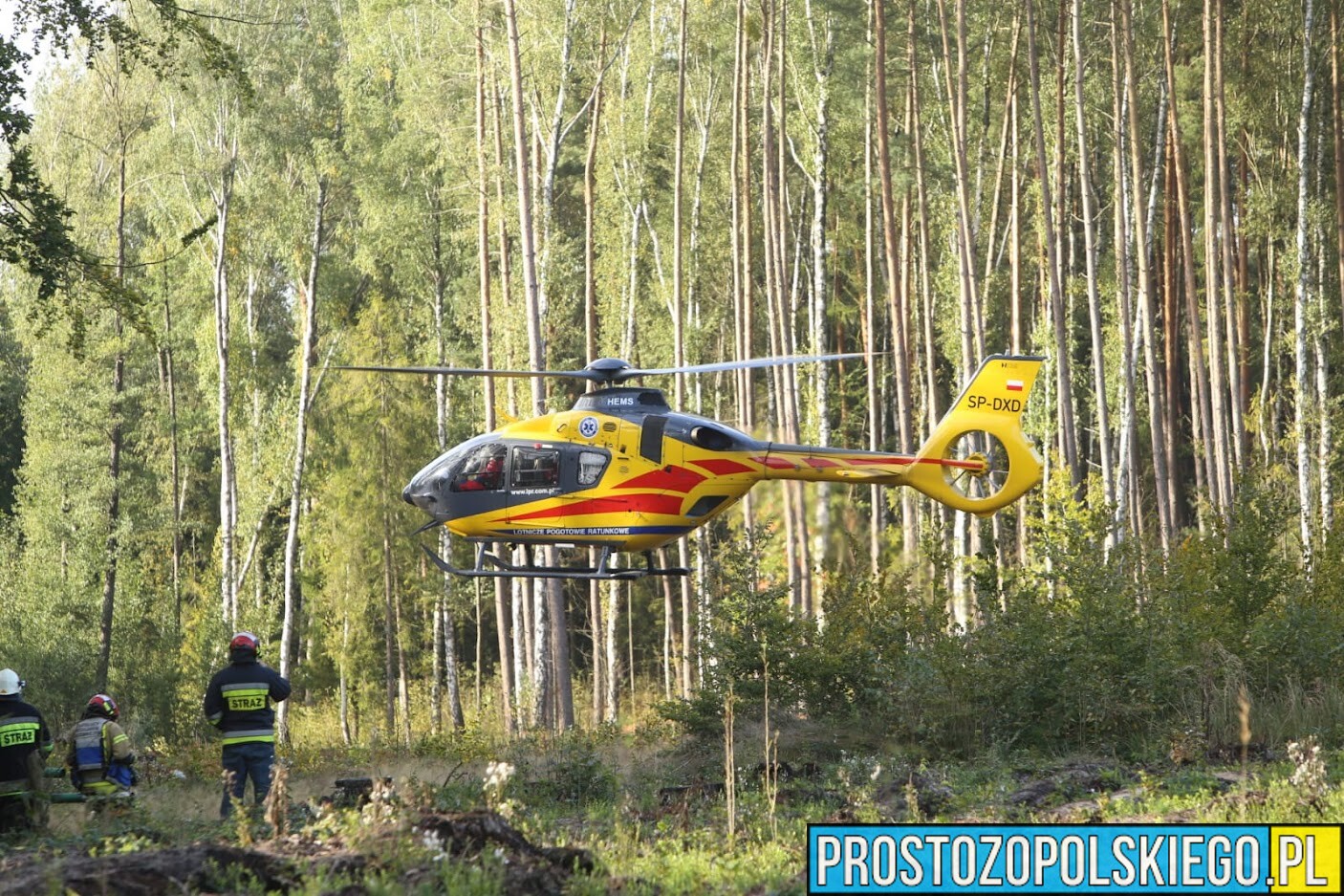 13-letni chłopiec został przygnieciony przez drzewo. LPR zabrał ranne dziecko do szpitala w Opolu.