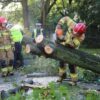 Drzewo spadło na zaparkowane auta na ul.Koszyka w Opolu. W akcji strażacy z JRG Opole.(Zdjecia&Wideo)