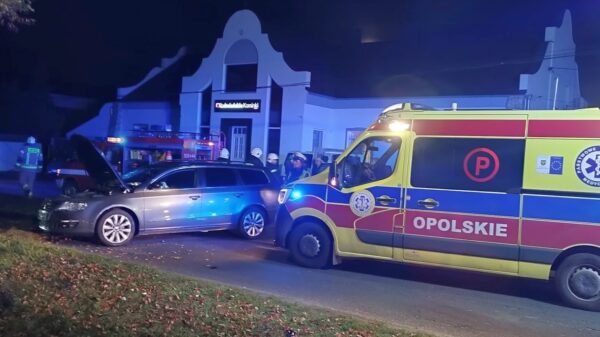 Wypadek w Łubnianach. Samochód uderzył w drzewo.(Zdjęcia)
