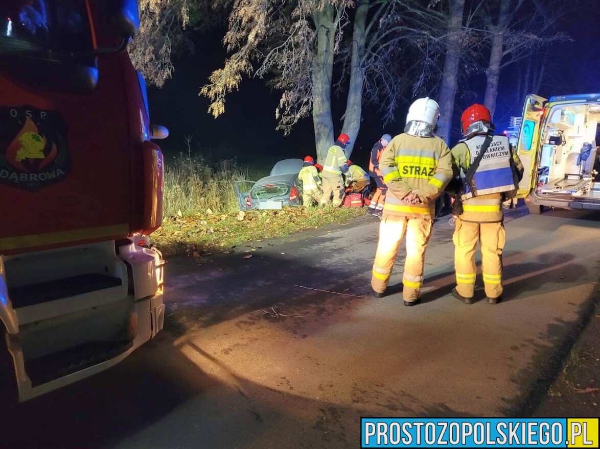 Wypadek w Ciepielowicach. Auto uderzyło w drzewo do szpitala trafiły trzy osoby.(Zdjęcia)