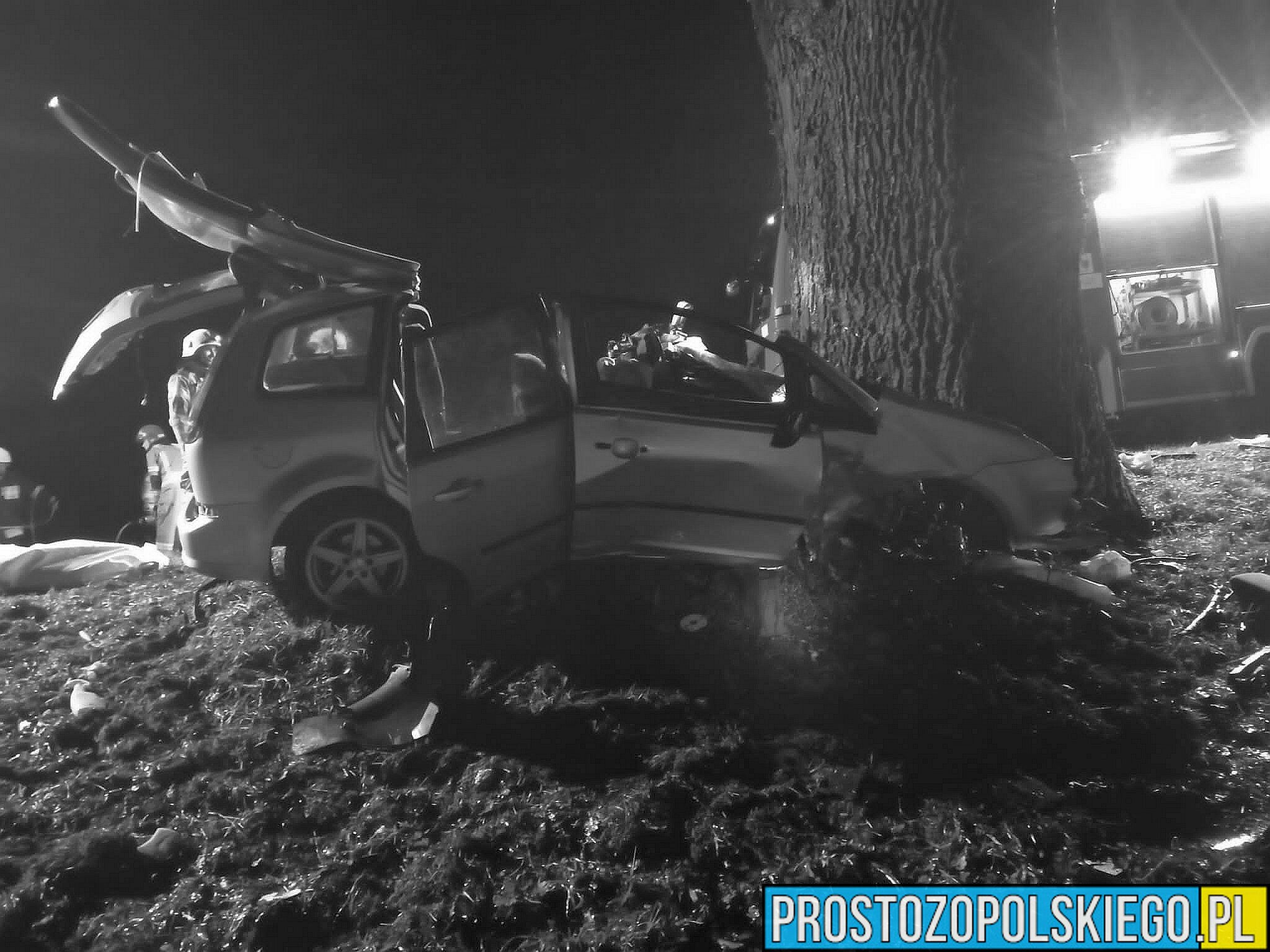 Wypadek śmiertelny na DK 46 w pobliżu miejscowości Ścibórz.