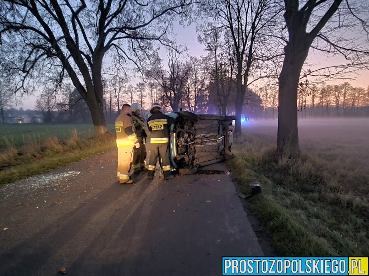 Wypadek w Radomierowicach. Kierowca bez uprawnień do kierowania i z promilami.(Zdjęcia)