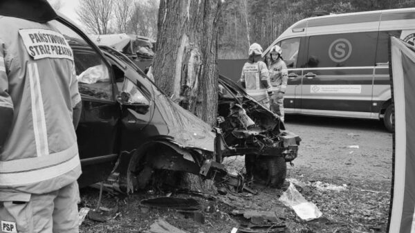 Wypadek śmiertelny w Cisowa koło Kędzierzyna Koźla. Volkswagen wbił się w drzewo.