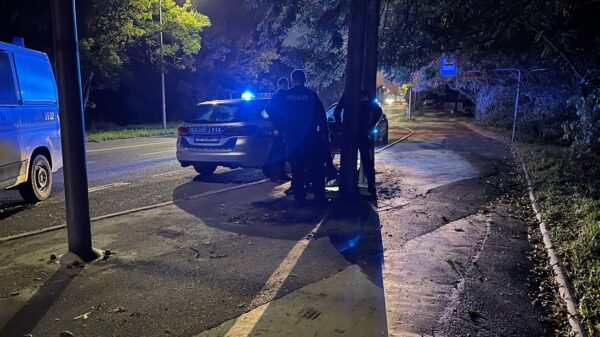 Policyjny pościg za 31-latekiem w Audi, który wjechał w radiowóz. Dwóch policjantów zostało zabranych do szpitala.