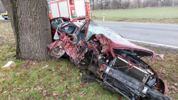 Oszukać Przeznaczenie. Kierujący Mercedesem wjechał w drzewo na DK45 w miejscowości Stradunia.(Zdjęcia)