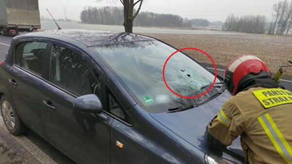 "Oszukać przeznaczenie". Wypadek na DK94 w miejscowości Borkowice.(Zdjęcia&Wideo)