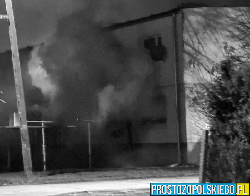 Tragiczny pożar mieszkania w Goli Grodkowskiej. Nie żyje 64-letnia kobieta.