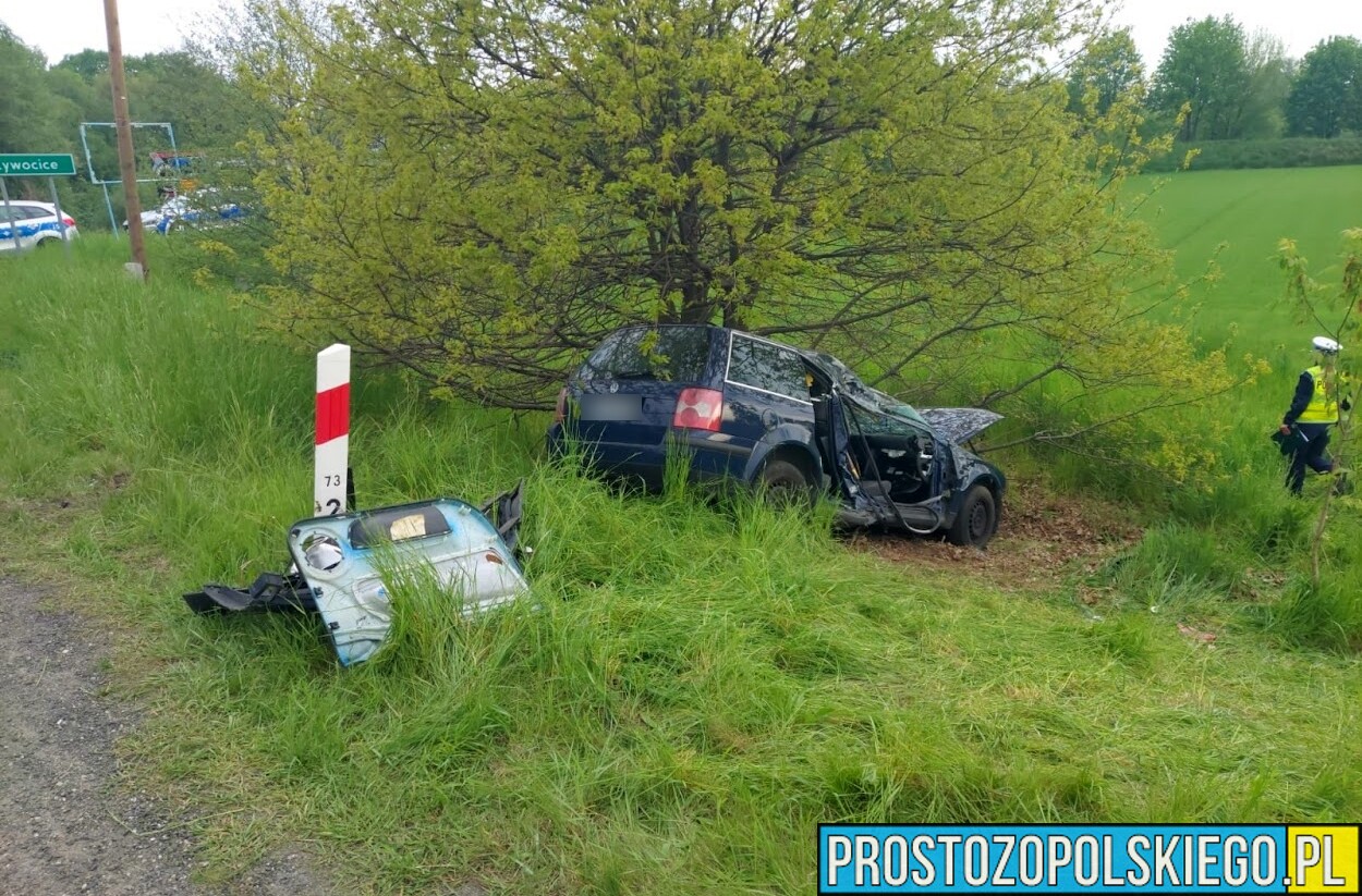 Żywocice: volkswagen passat uderzył w słup energetyczny i wjechał do rowu.(Zdjęcia)